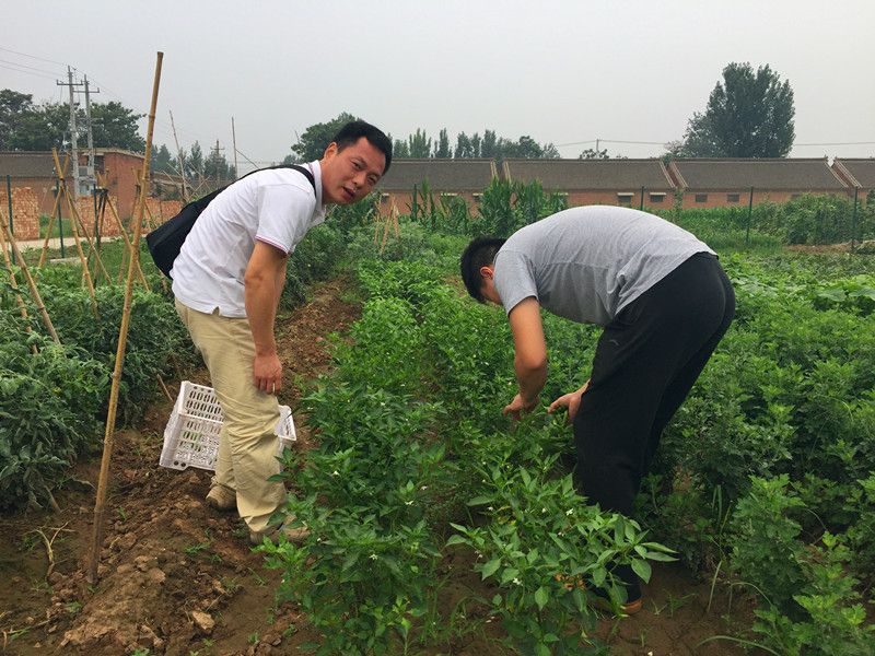 好利来郭总喊您来摘菜啦！绿色无公害，放心！